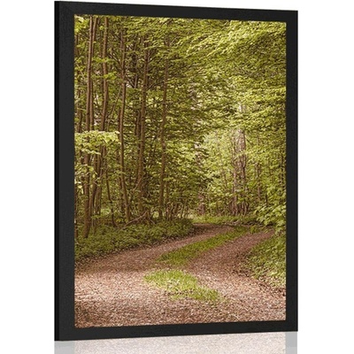 Plakát zelený les - 60x90 no frame