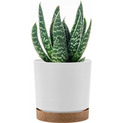 Prosperplast Květináč TUBO PM 33,8cm bílý