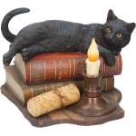 Nemesis Now Статуетка Nemesis Now Adult: Gothic - The Witching Hour (By Lisa Parker), 20 cm (B2801G6)