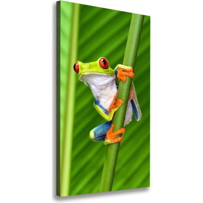 Vertikálny foto obraz na plátne Rosnička zelená 50x100 cm