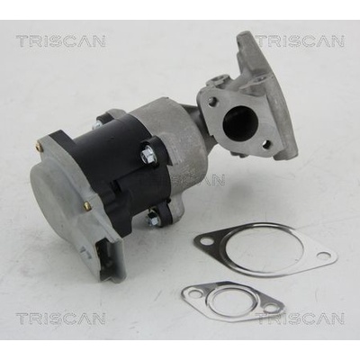 AGR - Ventil TRISCAN 8813 10008