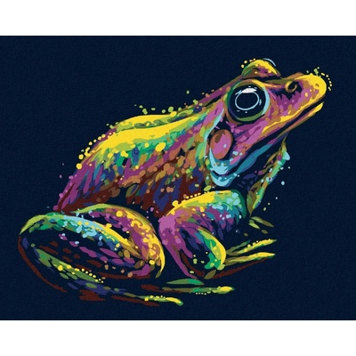 Zuty Farebná Žaba 40 x 50 Cm Plátno Rám 8596530075776