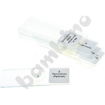 Комплект микроскопски препарати - гъби