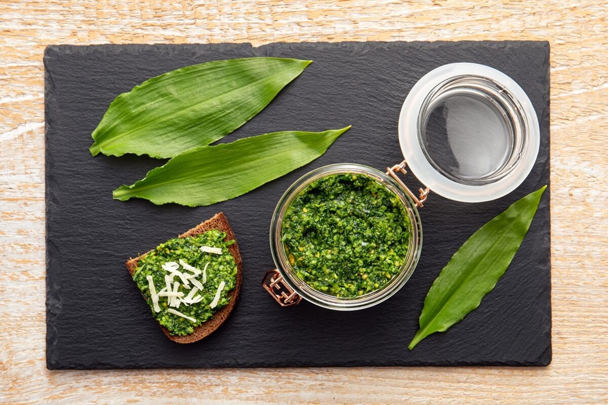 Pesto z medvedieho cesnaku