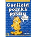 Garfield polyká pýchu - Jim Davis