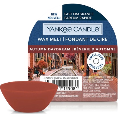 Yankee Candle Autumn Daydream vonný vosk 22 g – Zboží Dáma