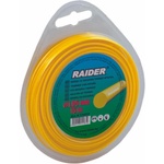 Raider 110210