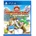 ININ Games Wonder Boy Asha in Monster World (PS4)