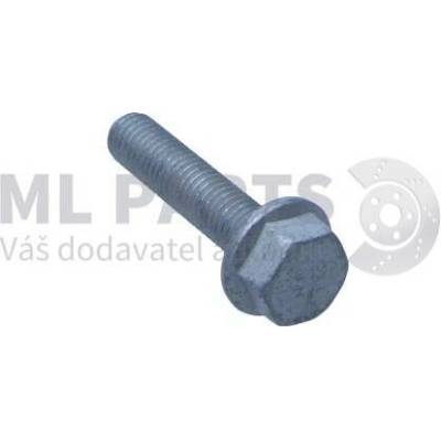 Šroub M10x45 ŠKODA OEM Originál N10699901