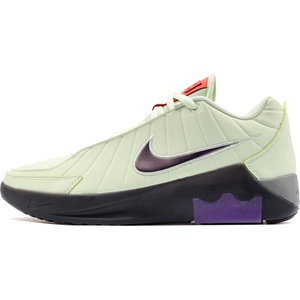 Nike Lebron Witness IX (27972)