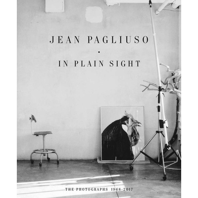 Jean Pagliuso: In Plain Sight - Jean Pagliuso