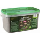 Diversa NutriPlant 3 l