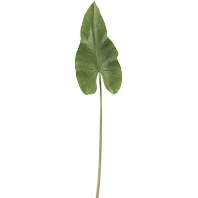 Okrasný list Canna - 94cm - J-Line by Jolipa