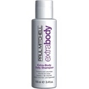 Paul Mitchell Moisture Instant Moisture Daily Shampoo 100 ml