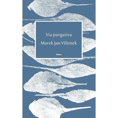 Via purgativa - Marek Jan Vilímek
