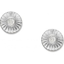 Fossil náušnice JFS00617040