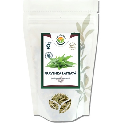 Salvia Paradise Právenka latnatá nať 60 g – Zboží Dáma