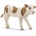 Schleich теле сименталско (13802)