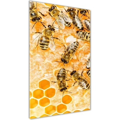 Vertikálny foto obraz sklenený Pracujúce včely 50x100 cm