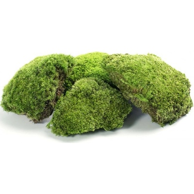 Stabilizovaný mach bochníčky 0,25 kg - zelený