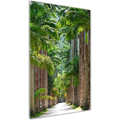 Vertikálny foto obraz fotografie na skle Palmy 50x100 cm