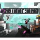 Exotic Matter