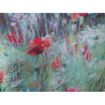 Nortene Преграда за парапет STYLIA MEADOW, Nortene, 600101