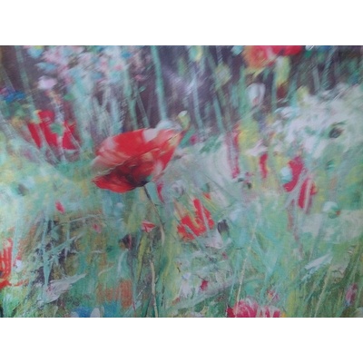 Nortene Преграда за парапет STYLIA MEADOW, Nortene, 600101