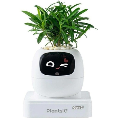 Plantsio Ivy 2 gen. bílý