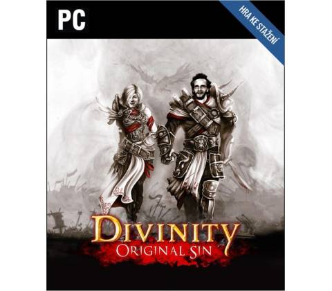 Divinity Original Sin