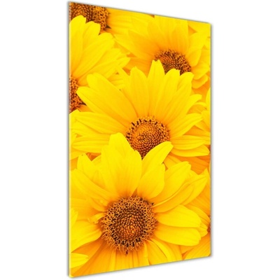 Vertikálny foto obraz sklenený Slnečníky 50x100 cm