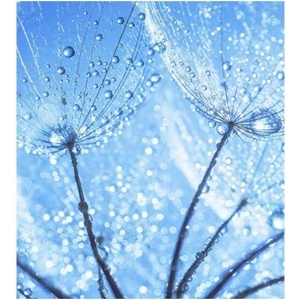 DIMEX ART Флизелинов фототапет водни капки върху глухарче 225 x 250 см