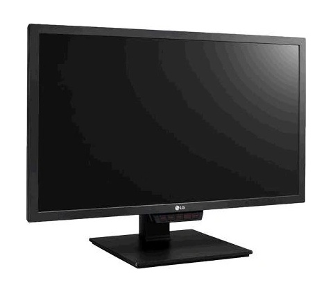 LG 24GM79G