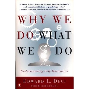 Why We Do What We Do (ISBN: 9780140255263)