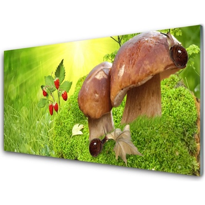 Obraz na skle Houby Divoké Jahody 100x50 cm