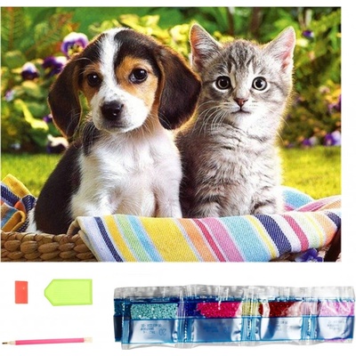 Norimpex Diamantové malování Kamarádi v košíku 30 x 40 cm – Sleviste.cz