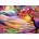 Enjoy - Puzzle Land of Two Suns - 1 000 piese
