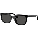 Ray-Ban RB4439D 901/87