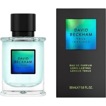 David Beckham True Instinct parfémovaná voda pánská 50 ml