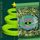 Eukalyptus menthol bonbons 1 kg