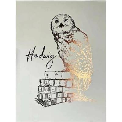 imago Obraz Harry Potter - Hedvika