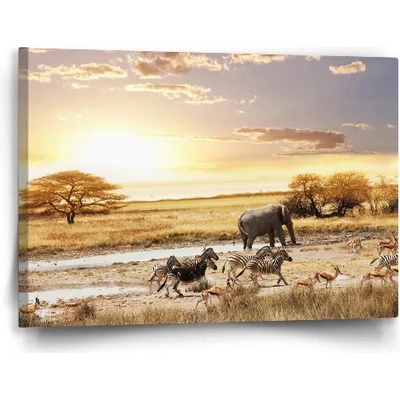 Sablio Obraz Safari - 60x40 cm