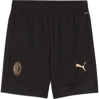 Puma AC MILAN Training