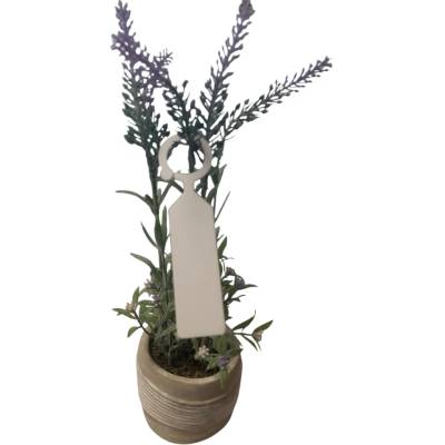 Záhradnícke odolné plastové štítky, 23 mm x 110 mm, Biela, Balenie - 50 ks