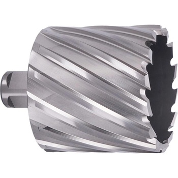 ABSE N-HS-W19-0630050