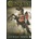 Conquest - S. Binns