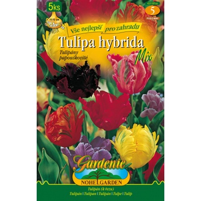 Nohel Garden Tulipán papouškovitý, směs 5ks, cibulovina