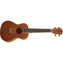 Bamboo ORG 23