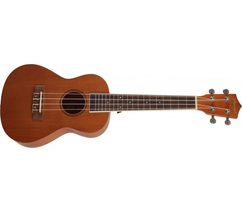 Bamboo ORG 23