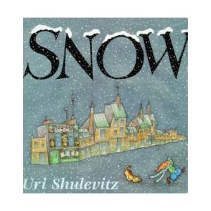 Snow (ISBN: 9780374370923)